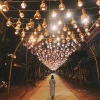 çilli begonya🌱 (@seymasat) Twitter profile photo