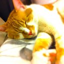 kenji ono - @komokomoad - Twitter