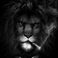 🌹KingDeLaHoz (@kingdelahoz5) 's Twitter Profile Photo 🌹KingDeLaHoz (@kingdelahoz5) 's Twitter Profile Photo
