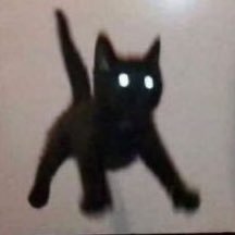 purapurasedih's profile picture. 