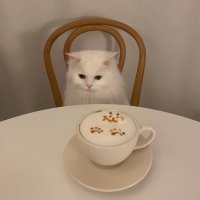 ๐พ (@jjj2027) 's Twitter Profile
