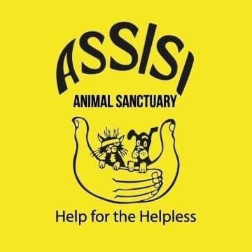 Assisi is a local independent Animal Welfare charity based in Northern Ireland.  We focus on the rescue, care and re-homing of stray and unwanted animals.