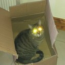 Dave Murphy - @Dmurph06 - Twitter