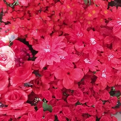 Bobasugar5's profile picture. be yourself