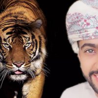 الدختور العماني (@4nupau3nx55qkwu) Twitter profile photo