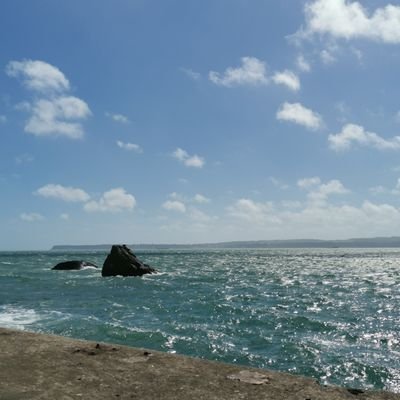 Hello2085142465's profile picture. Travel Fanatic. Semi Retired. Dog lover. Business Investor. Comedy Addict. Ex Athlete.
Happiness is the cure.