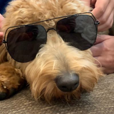 KyleHarshbarge1's profile picture. I’m uninteresting, but I do stuff🏀🏈⚾️🎮