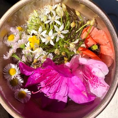 s9_minko's profile picture. 本を読むと落ち着きます。歩くこと、コーヒーやお茶したり、のんびり、気ままな時間に至福を感じます。
年齢を重ねる度に移り変わる自分の過ごし方に、スポットを当てつつ、家族に貢献できるよう、小さな闘志を絶やさぬよう、平和な生活を望み中。
ちょっと古いかな
おもてなし　私は＋　おつきあい