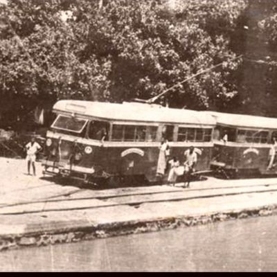 bischtek's profile picture. 