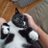 MikeGan68687121's profile image