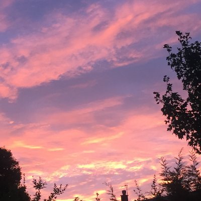 PossiblyPobble's profile picture. Useless tweeter.