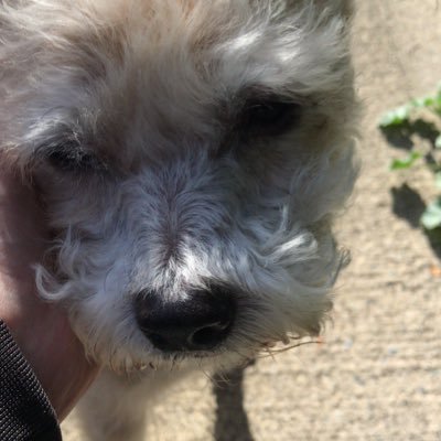 Mike Selinkerさんのプロフィール画像