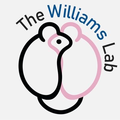 Explore the neural control of metabolism with The Williams Lab @ UT Southwestern. Follow for insights and discoveries. #HypothalamusResearch #MetabolicDisorders