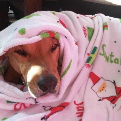 AdiI_NTHC's profile picture. I am a 9th grader at New Tech High @ Coppell