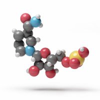Nicotinamide Mononucleotide (NMN) | NMN.com (@nmndotcom) 's Twitter Profile Photo Nicotinamide Mononucleotide (NMN) | NMN.com (@nmndotcom) 's Twitter Profile Photo