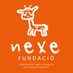 Nexe Fundació (@nexefundacio) Twitter profile photo