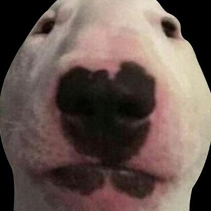 Mateo54498785's profile picture. 