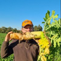 Hugh Macague, 3m Dreamer (@hmacague) 's Twitter Profile