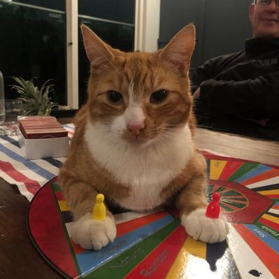 CarmMenzies's profile picture. Smile & laugh☺️ Enjoy AFL footy, musical theatre, red wine, bubbles 🥂, relaxing at the beach. *Fully Covid Vaxxed AZ