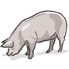 ty_mokkun's profile picture. 仕事とか音楽とかバスケとか幸せとか波動拳とかロックンロールが好きとかなんとか。横浜を飛び出し、新潟で奮闘中！

私のブログです：http://t.co/OrIoBMDJca
新潟永住計画というWEBマガジン：http://t.co/iXER0r6Q9y