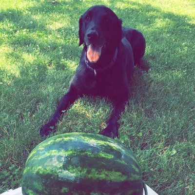 duanekloeppleGK's profile picture. 