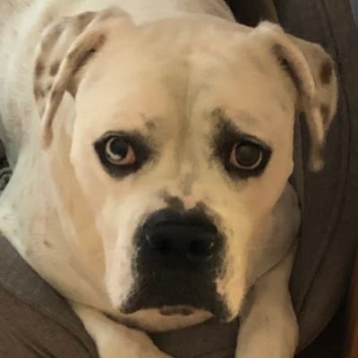 samsmom1125's profile picture. Race mom. SamBrochuRacing