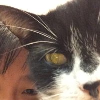 Akiko(@acarot) 's Twitter Profile Photo