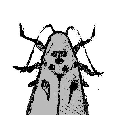 Gray Mothさんのプロフィール画像