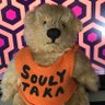 solitaka's profile picture. 設計士，音楽研究家 ：『ソフトロック A to Z』『ザ・ビーチ・ボーイズ・コンプリート』他ディスクガイドブックに企画執筆参加。音楽家：99年処女作品がKYON2のデモテープコンテストでファイナリストに選ばれVictorの著名Dに名指しされる。翌年渋谷系コンピへ楽曲提供し後年アルバム・プロデュースの実績有り。