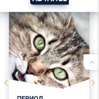 Chispita73 (@chispita373) 's Twitter Profile