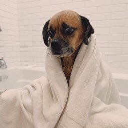 drimszn's profile picture. 