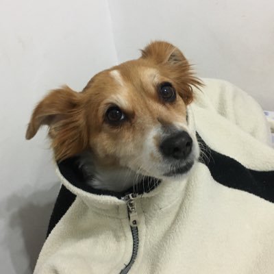 cataa124's profile picture. 