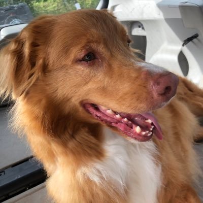 Astyana_69's profile picture. #Resister  #Mysanthropic_Luddite