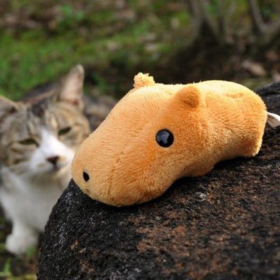 仕事もすっかりテレワークになり、外に出ていくより、すっかり配信で引きこり!刀剣乱舞、アニメにドラマに映画みております。最近はポチとっとお酒を買って、RADIO聴くのが楽しみ!