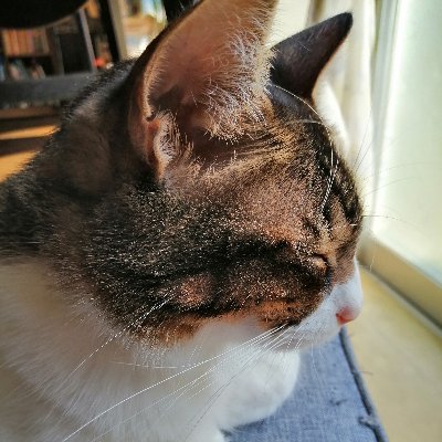 発作の意味