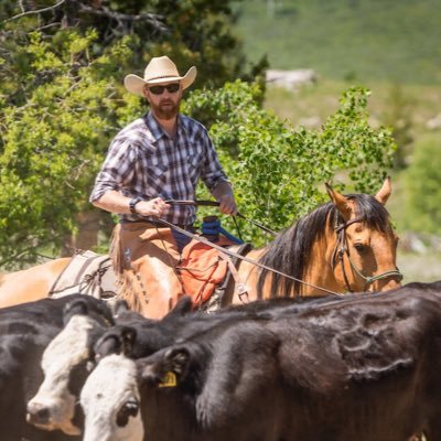 fraziercu's profile picture. Engineer, fisherman, father. Owner Frazier Valley Ranch IG: fraziercu IG: Rockymtnoutdoors Sko Buffs!