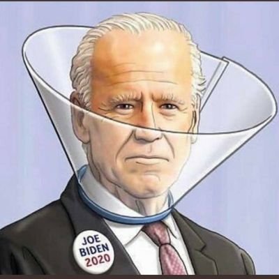 Anti-Sniffer Biden Cone - Donate Now (don't ask where)

Nulla tenaci invia est via

Husband/Father

Tweets are my own