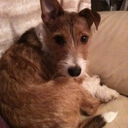 Carrie Holmes - @123CEH - Twitter