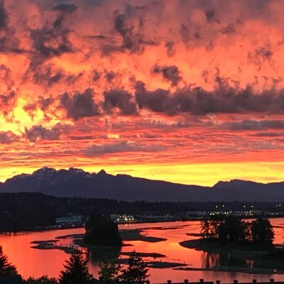 safimahal's profile picture. 