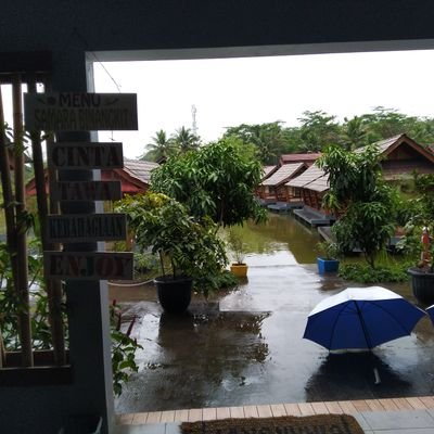 kangaep20's profile picture. work