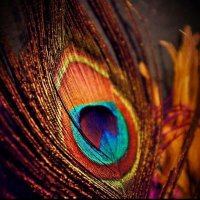 AKshata Pingale (@akshata_pingale) 's Twitter Profile Photo AKshata Pingale (@akshata_pingale) 's Twitter Profile Photo