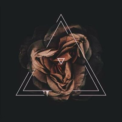 apolokaktu's profile picture. masuk aja dulu broo