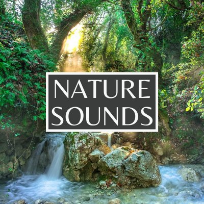 Nature Sounds Relaxing Meditation / Twitter