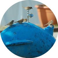 ちゅんだもの (@wawawa_18) Twitter profile photo