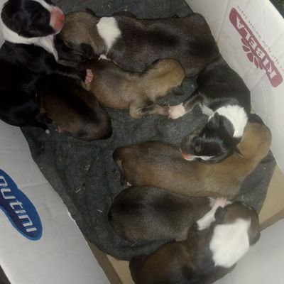 ahroidz's profile picture. Deja vu