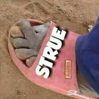 StrueBob's profile picture. student📚|| live and let live|| @LFC🔥🔥