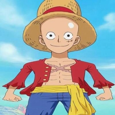 muro ☝️👁️ on X: luffy careca  / X