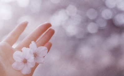 RuliLee's profile picture. 