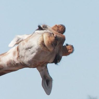 _GarciaDaniela's profile picture. 