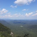 Donna Munro - @DonnaMu95767178 - Twitter